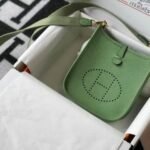 Replica Hermes Evelyne Bag Designer Hermes Mini Crossbody Bag 20393 Gold Buckle Light Green34345
