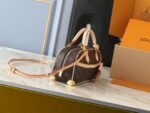 LOUIS VUITTON29133 - Image 2