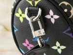 LOUIS VUITTON29137 - Image 6