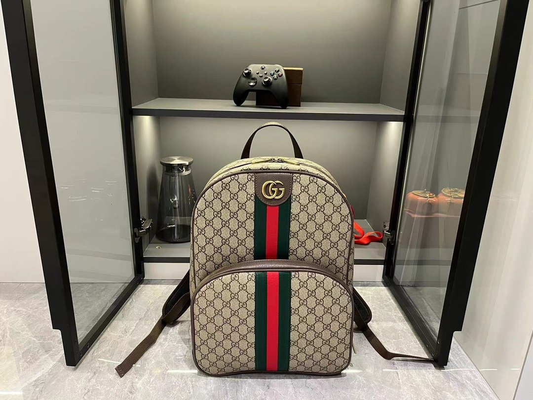 wsxc1742660507017_0.jpg GUCCI37039 - Image 1