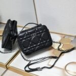 DIOR36436
