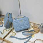 DIOR36447
