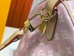 LOUIS VUITTON30511 - Image 4