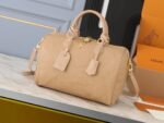 LOUIS VUITTON30565