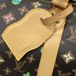 LOUIS VUITTON31020 - Image 5