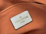 LOUIS VUITTON31381 - Image 9