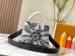 LOUIS VUITTON31529 - Image 2