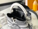 LOUIS VUITTON31529 - Image 8
